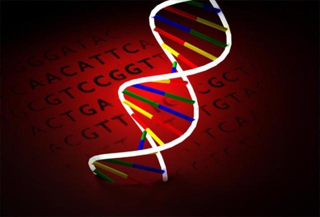 Kültürel farklar insan DNA’sına mührünü vuruyor