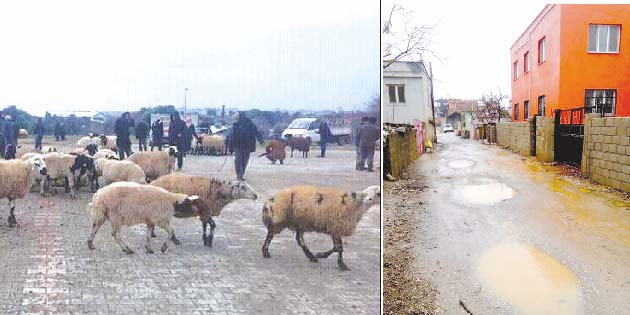 Biri İNSAN, diğeri HAYVAN