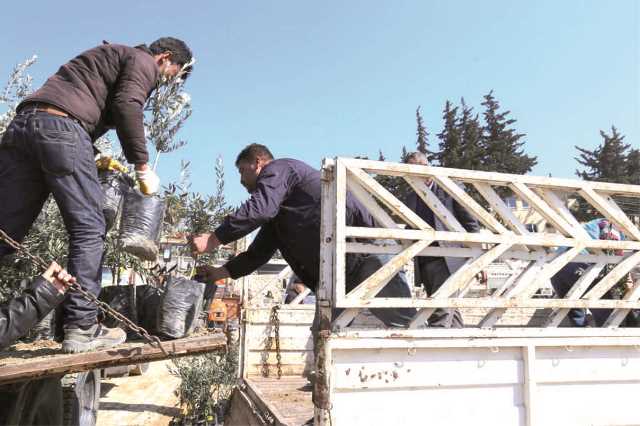 Hatay Büyükşehir Belediyesi, tarımın