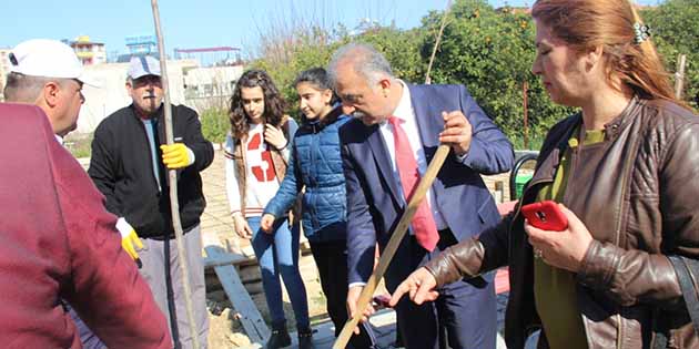 Samandağ’da fidan için ilk kazma Belediye Başkanı’ndan. Geçen yıl aynı