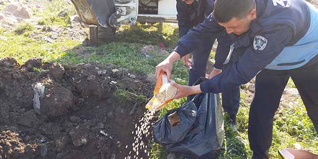 Reyhanlı Belediyesi zabıta ekipleri,