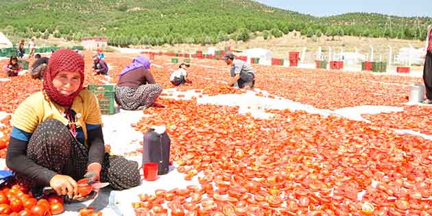 Başbakanlık Genelgesi çerçevesinde Hatay Valiliği bünyesinde “Mevsimlik Tarım İşçileri Bürosu”