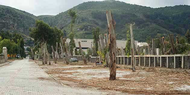 Orman İşletmesi ile Hatay