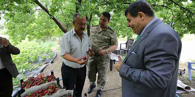 Antakya Kaymakam Eflatun Can