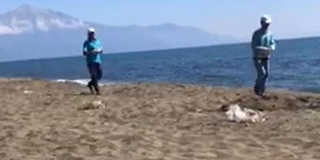 Özellikle hafta sonu tatilcilerinin büyük ilgi ve rağbet gösterdiği Çevlik/Samandağ