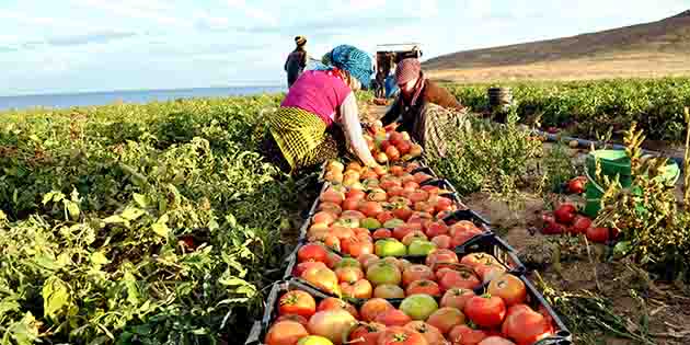 Hatay, Adana ve Mersin’i