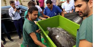 Yaralı halde bulundular tedavi edildiler