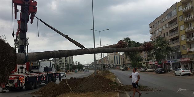 İskenderun’da PAC trafiğini düzenlemeye