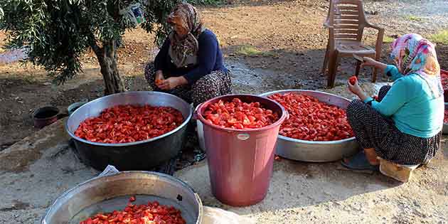 Salçadan turşuya, kurutmalık patlıcan