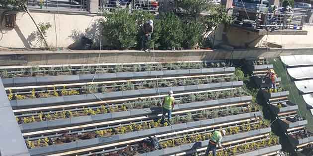 Hatay Büyükşehir Belediyesi Park