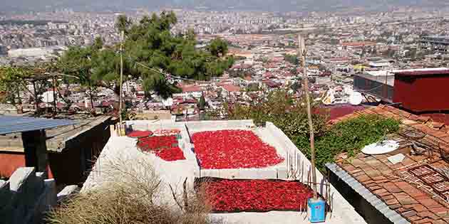 Damlarda Başlar Hatay’da kadınlar,