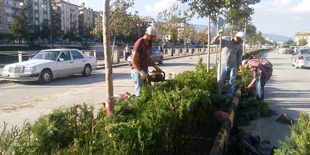 Hatay Büyükşehir Belediyesi (HBB),