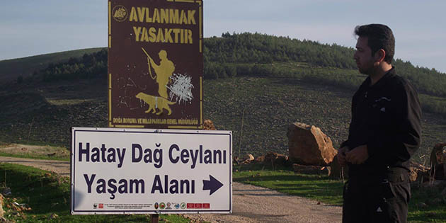 Öğünç, nesli tükenmekte olan türlerin yaşam alanlarına çimento fabrikaları, taş