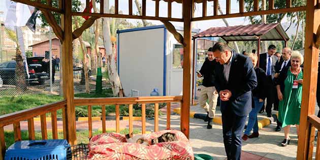 İskenderun’da Kedi Bakım ve Rehabilitasyon Merkezi açıldı Hatay Büyükşehir Belediye