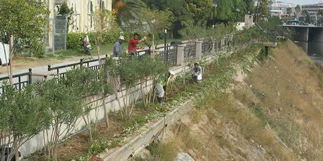 Hatay Büyükşehir Belediyesi ekipleri