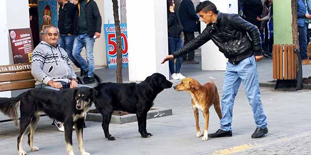 Antakya onlarla güzel… Önceki