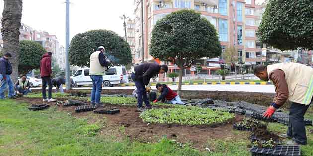 Büyükşehir, Antakya ve Defne