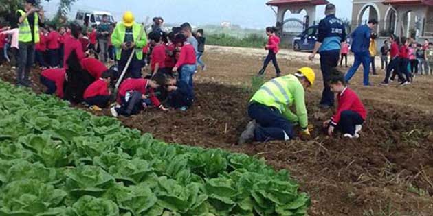 Defne Belediyesinin “Orman Haftası”