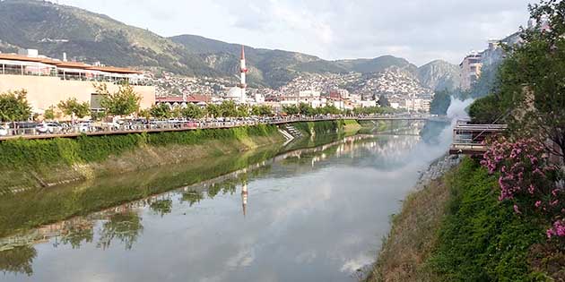 Asi’de sivrisinekle mücadele sürüyor!