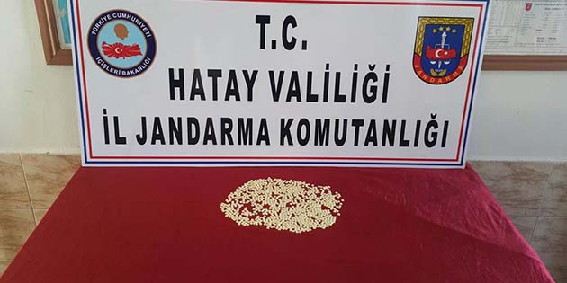 Reyhanlı’da Jandarma operasyonu: