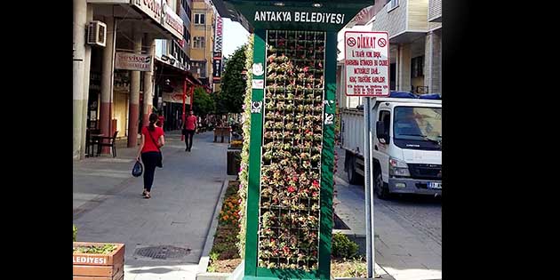 Yeni çiçekler eklendi! Antakya’nın,