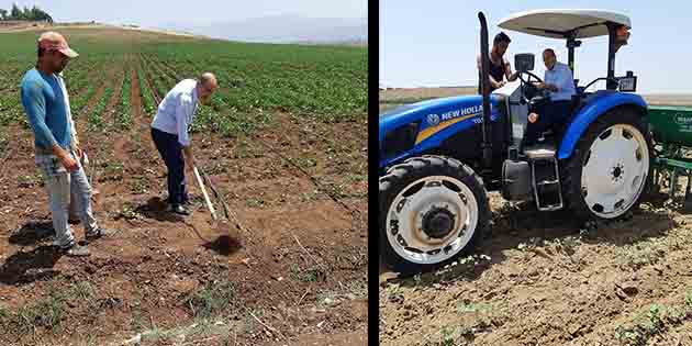 CHP Adayı Türkmen; Tarlada,