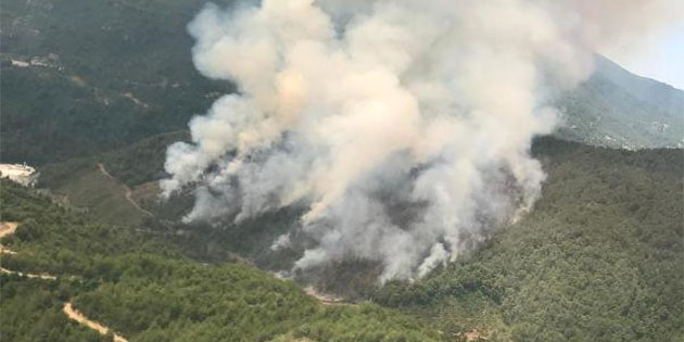 Samandağ ilçesi yayla yerleşim birimlerinden Batıayaz’da dün öğle saatlerinde ormanlık