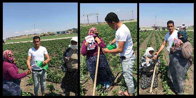 Amik Ovası… CHP’li gençler, yarınki seçim öncesi diğer Partiler gibi