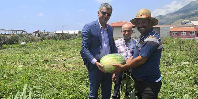 Samandağ Kaymakamı Murat Kütük, fırsat buldukça ilçedeki tarımsal alanları gezip