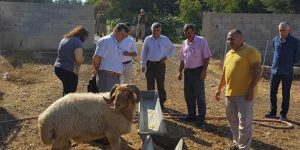 Besiciye Desteğin Sonucu