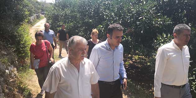 Hatay’da tarımsal alanda Akdeniz