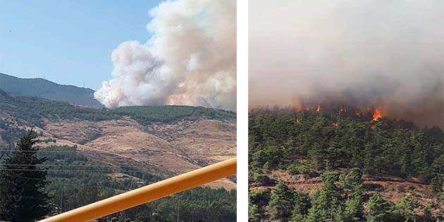 Amanoslar’ın Belen kesiminde Pazartesi akşam saatlerinde orman yangını çıktı. Orman