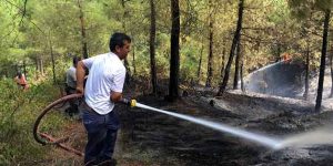 Yayladağı’nda orman yangını