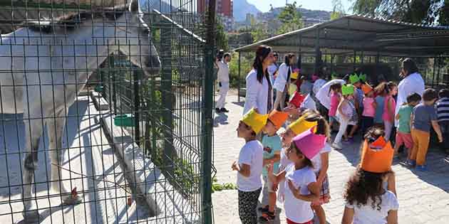 Hatay Büyükşehir Belediyesi(HBB) Sahipsiz Hayvan ve Rehabilitasyon Merkezi, “4 Ekim