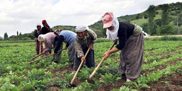 Dün, “Dünya Kadın Çiftçiler Günü”ydü