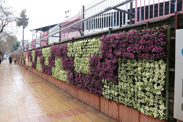 Hatay Büyükşehir Belediyesi(HBB) Park Bahçe ve Yeşil Alanlar Dairesi Başkanlığı,