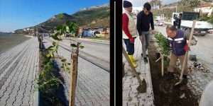 Hatay Büyükşehir hizmeti