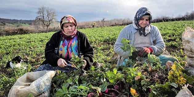 Kadın Dostu İlçeler “Karşılaştırmalı