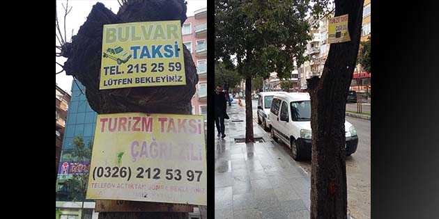 Ağaçlar Olmasa mı? Taksi