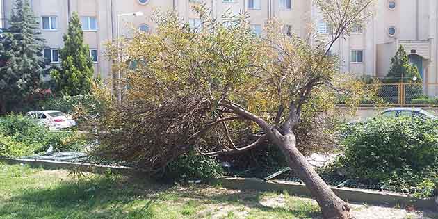 Ama geride kalanlar! Geçtiğimiz haftalarda yaşanan ağır hava koşulları sırasında