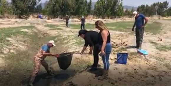 Yüz binlercesi kurtarıldı, milyonlarcası kurtarılmayı bekliyor Havaların ısınması ile birlikte