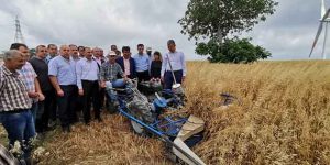 Samandağ’da tarımın yeni ürünü YULAF