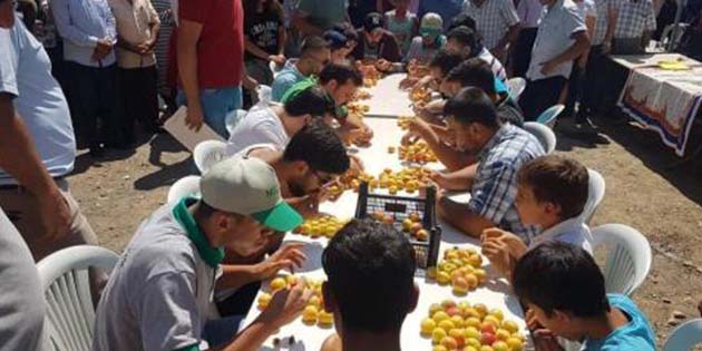 Festival Yapıldı… İlimizdeki önemli kayısı üretim merkezlerinden biri olan Arsuz