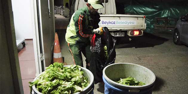 Biz Neredeyiz? Sıfır Atık