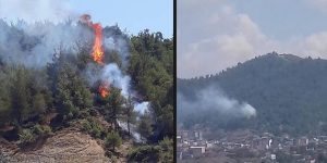 Yayladağı’nda Orman Yangını