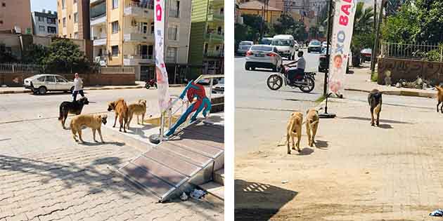 Mesaj: Hırçınlar, Sahip Olun…