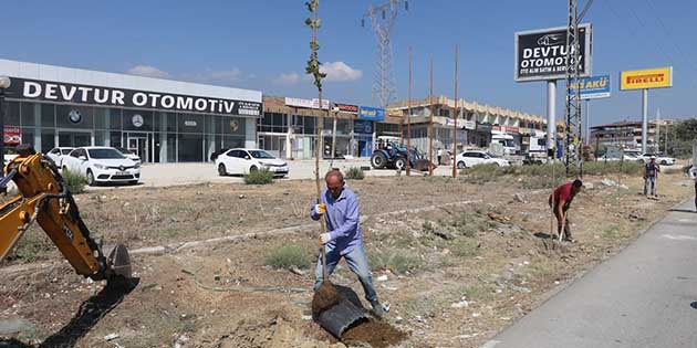 Hatay Büyükşehir Belediyesi Park Bahçe ve Yeşil Alanlar Dairesi Başkanlığına