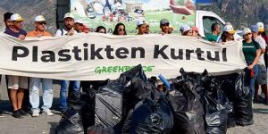 Ölen 10 Kuşun 9’unun Midesinde Plastik Var!