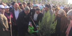 Hatay; ağaç dikme hedefini aştı