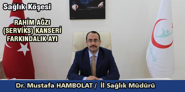 Rahim ağzı kanseri; dünyada kadınlarda meme kanseri ve kalın bağırsak